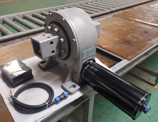 comprare Camera elettrica di Enlcosed dell'azionamento di pantano 42CrMo che vuota Ring Drive online manufacture